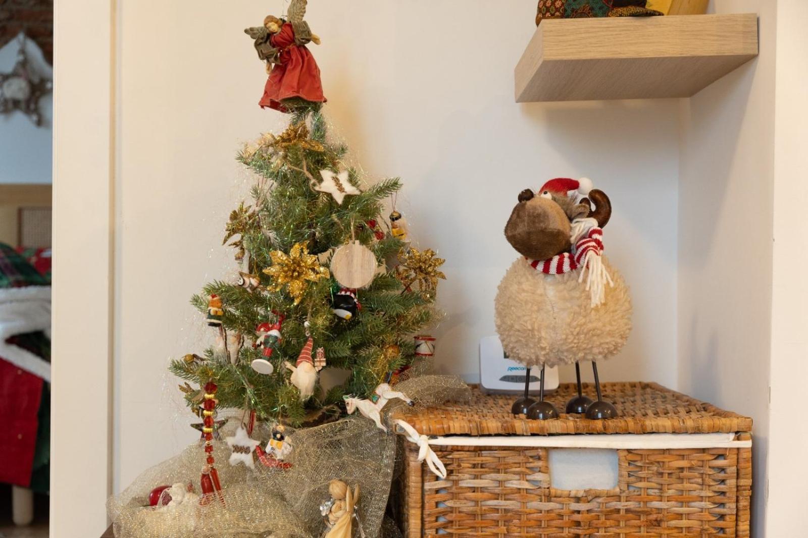 Sweet Cozy Ultracentral Craiova Esterno foto